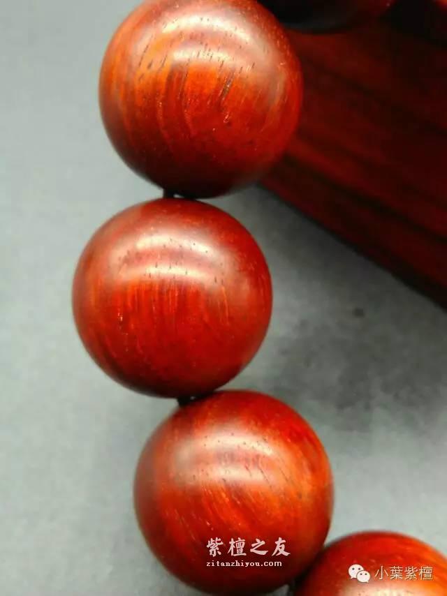小叶紫檀速生林真的存在吗？-2