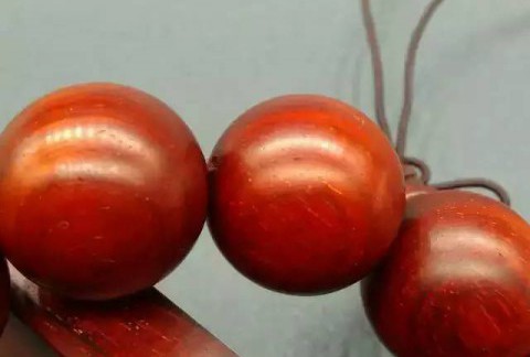 小叶紫檀速生林真的存在吗？