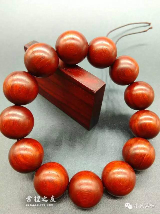 小叶紫檀速生林真的存在吗？-3