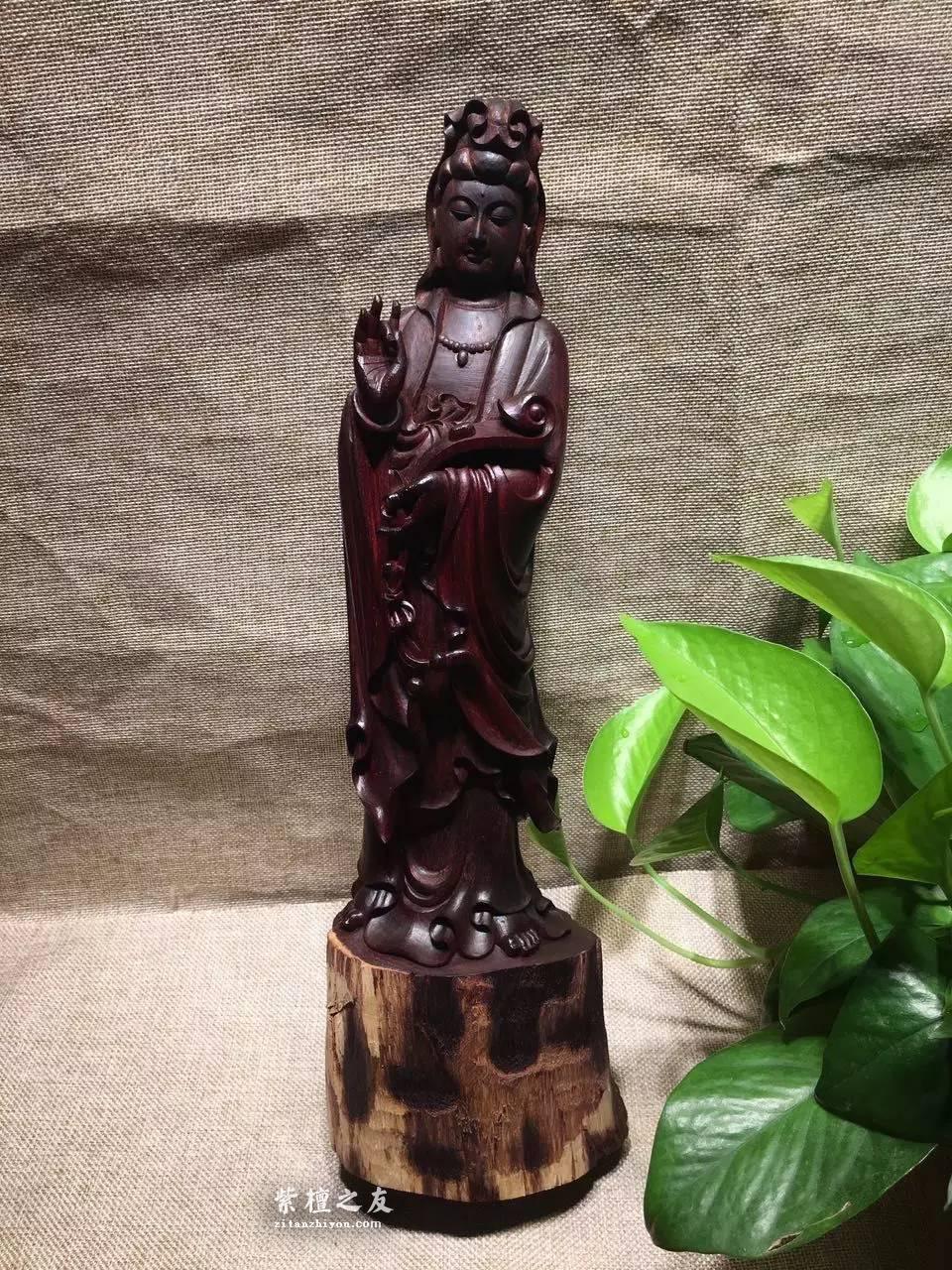 小叶紫檀佛像《观音菩萨》高油性紫檀木精雕逼真-3