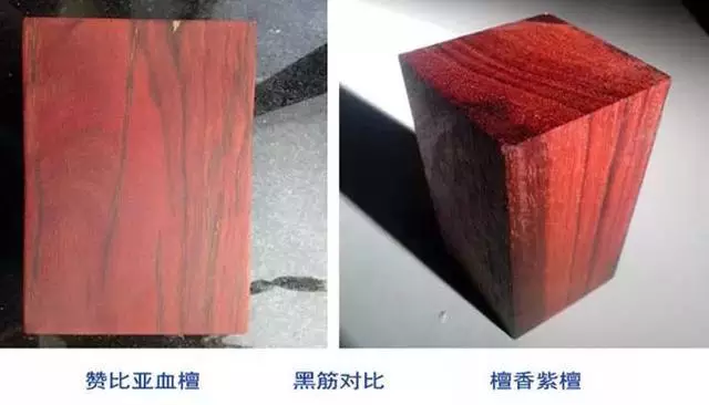 小叶紫檀会被血檀（非洲小叶紫檀）代替吗？-6
