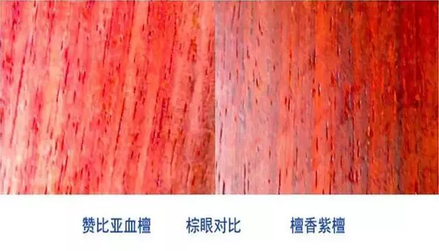 小叶紫檀会被血檀（非洲小叶紫檀）代替吗？-5