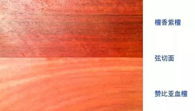 小叶紫檀会被血檀（非洲小叶紫檀）代替吗？-4
