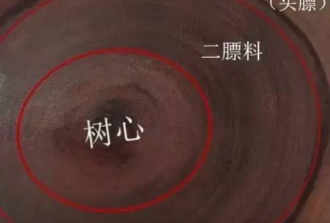 科普：小叶紫檀中的二膘料、泥料、犀角质、鸡血料都是什么？