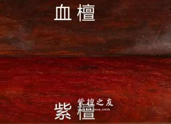 别被骗了！这四大木质最容易假冒小叶紫檀-9