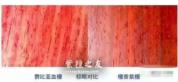 紫檀or血檀？这8招见分晓！-1