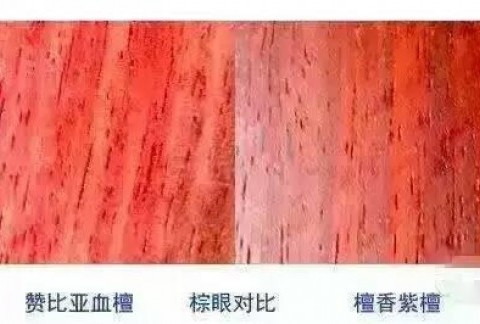 紫檀or血檀？这8招见分晓！