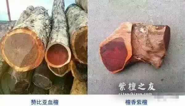 紫檀or血檀？这8招见分晓！-2