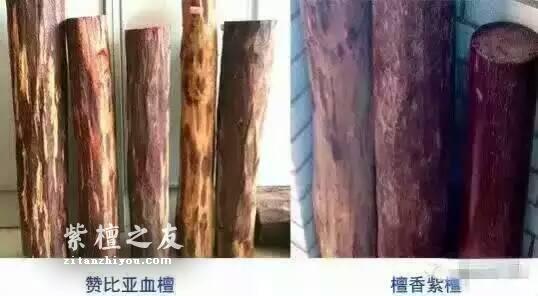 紫檀or血檀？这8招见分晓！-3