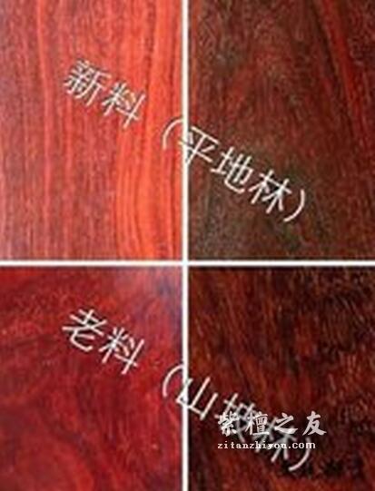 如何区分小叶紫檀新料老料？-4