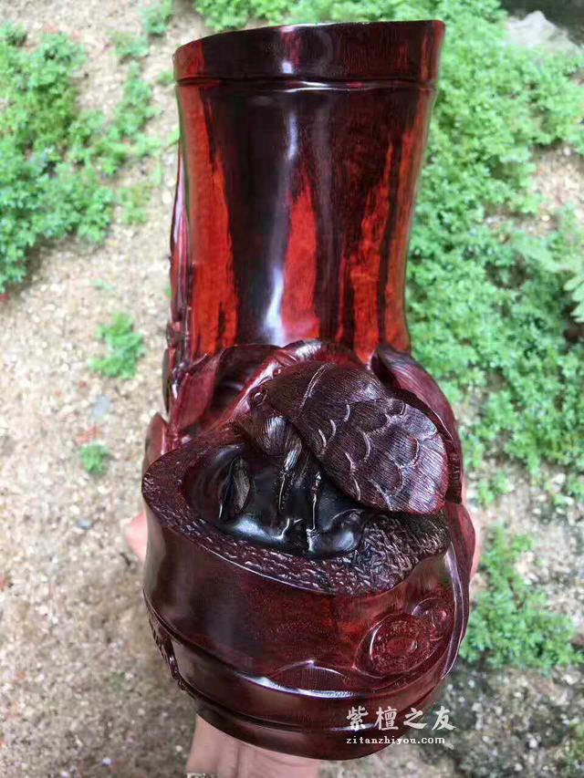 你认可的只是小叶紫檀的市场潜力，它的真正功效和作用你了解吗？-3