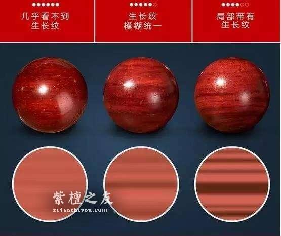 何谓小叶紫檀的生长纹？-3