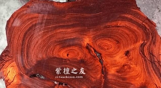 何谓小叶紫檀的生长纹？-5
