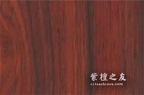 身为红木中五虎将之一的小叶紫檀能排第几？-5