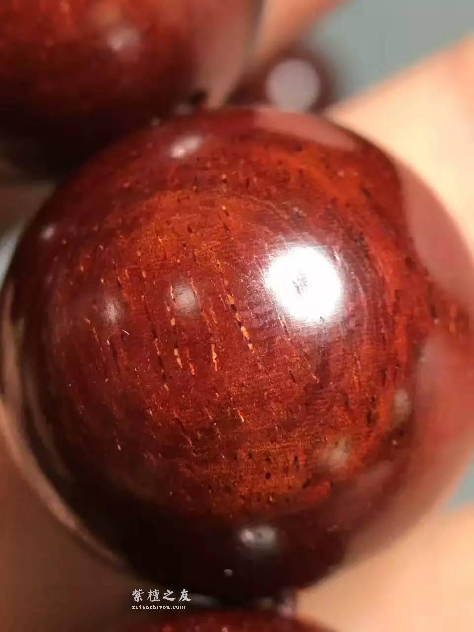 精品小叶紫檀2.0手串配蜜蜡 鸡血红鱼鳞底泥料-1