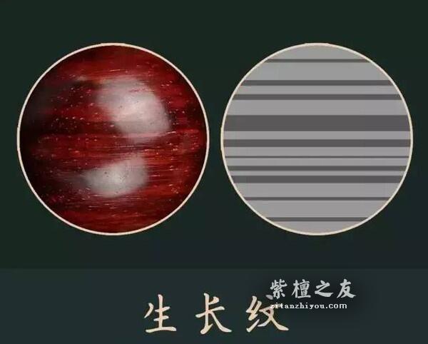 小叶紫檀年轮被称为生长纹 小叶紫檀生长纹有什么特点-2
