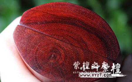 小叶紫檀年轮被称为生长纹 小叶紫檀生长纹有什么特点-1