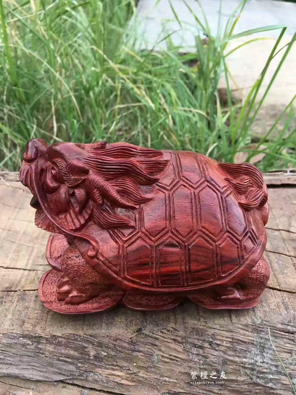 小叶紫檀手工艺品把件《龙龟》 纯手工雕刻简洁精致-1
