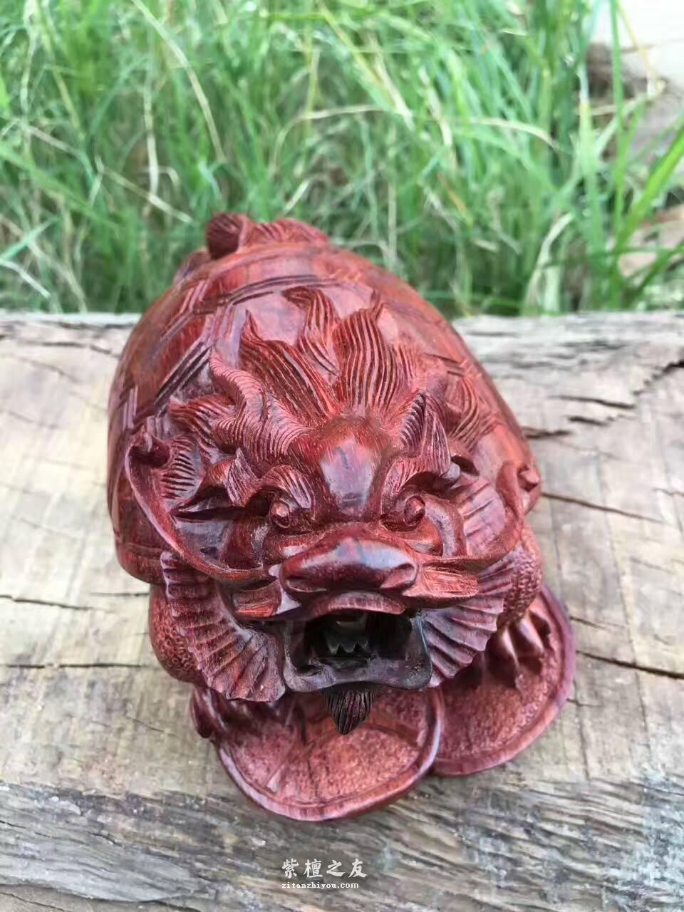小叶紫檀手工艺品把件《龙龟》 纯手工雕刻简洁精致-3