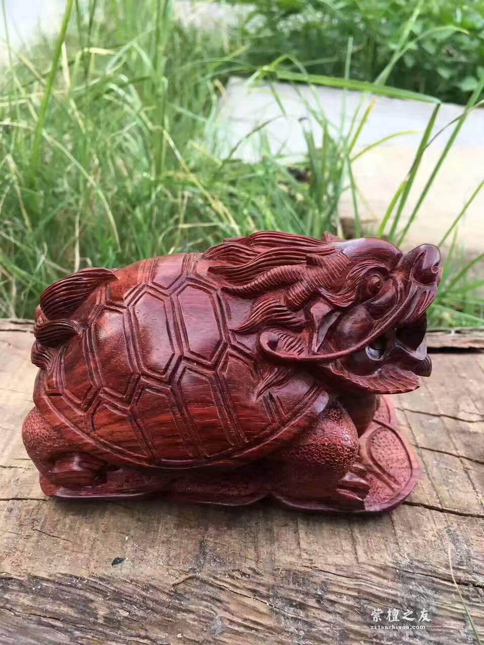 小叶紫檀手工艺品把件《龙龟》 纯手工雕刻简洁精致-5