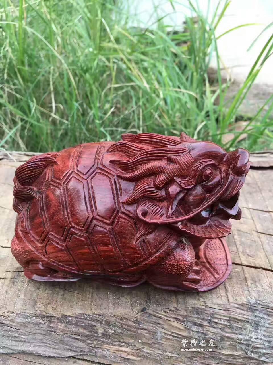 小叶紫檀手工艺品把件《龙龟》 纯手工雕刻简洁精致-9