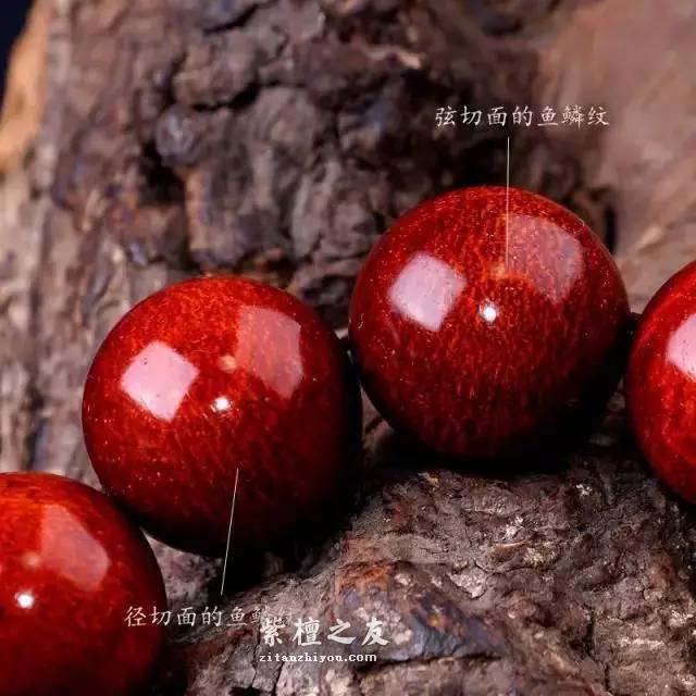 小叶紫檀的鱼鳞纹 你知道多少-3