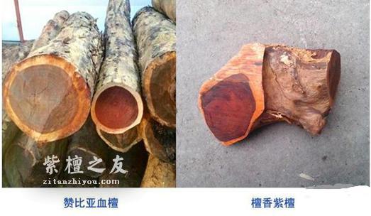 切记！这些木头像极了小叶紫檀，让很多文玩小白上当受骗！-4