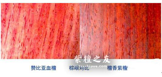 切记！这些木头像极了小叶紫檀，让很多文玩小白上当受骗！-5