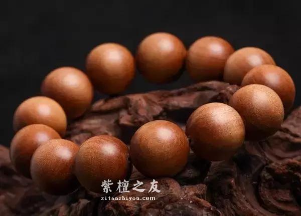 小叶紫檀原产地究竟在哪？-3