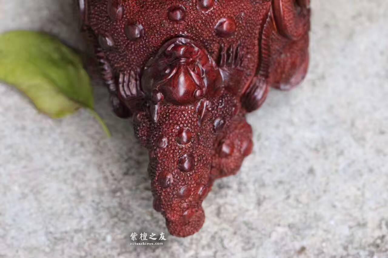 小叶紫檀茶壶《招财进宝》做工精美栩栩如生-4