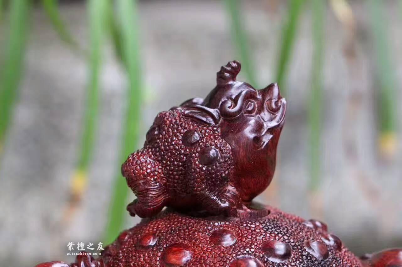 小叶紫檀茶壶《招财进宝》做工精美栩栩如生-3
