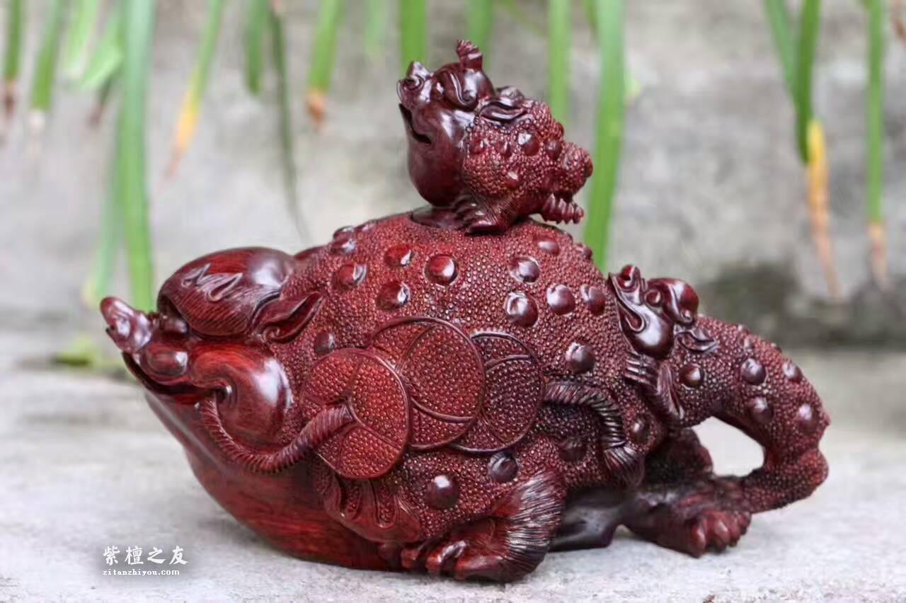 小叶紫檀茶壶《招财进宝》做工精美栩栩如生-8
