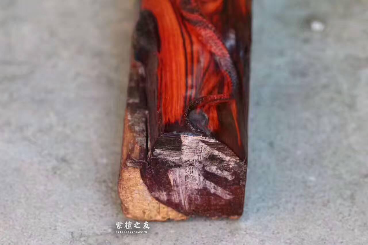 小叶紫檀工艺品《七彩蜥蜴》寓意招财做工精致值得收藏-8