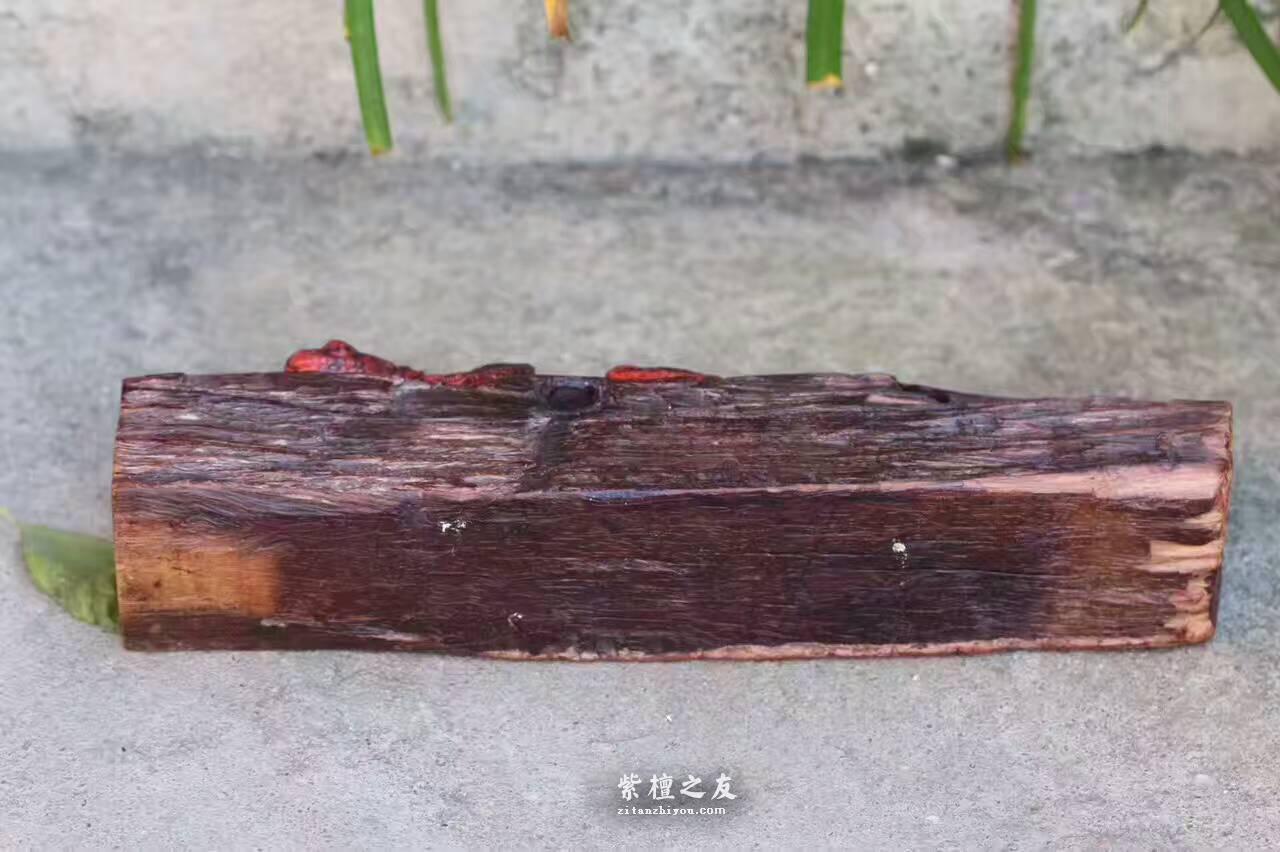 小叶紫檀工艺品《七彩蜥蜴》寓意招财做工精致值得收藏-9
