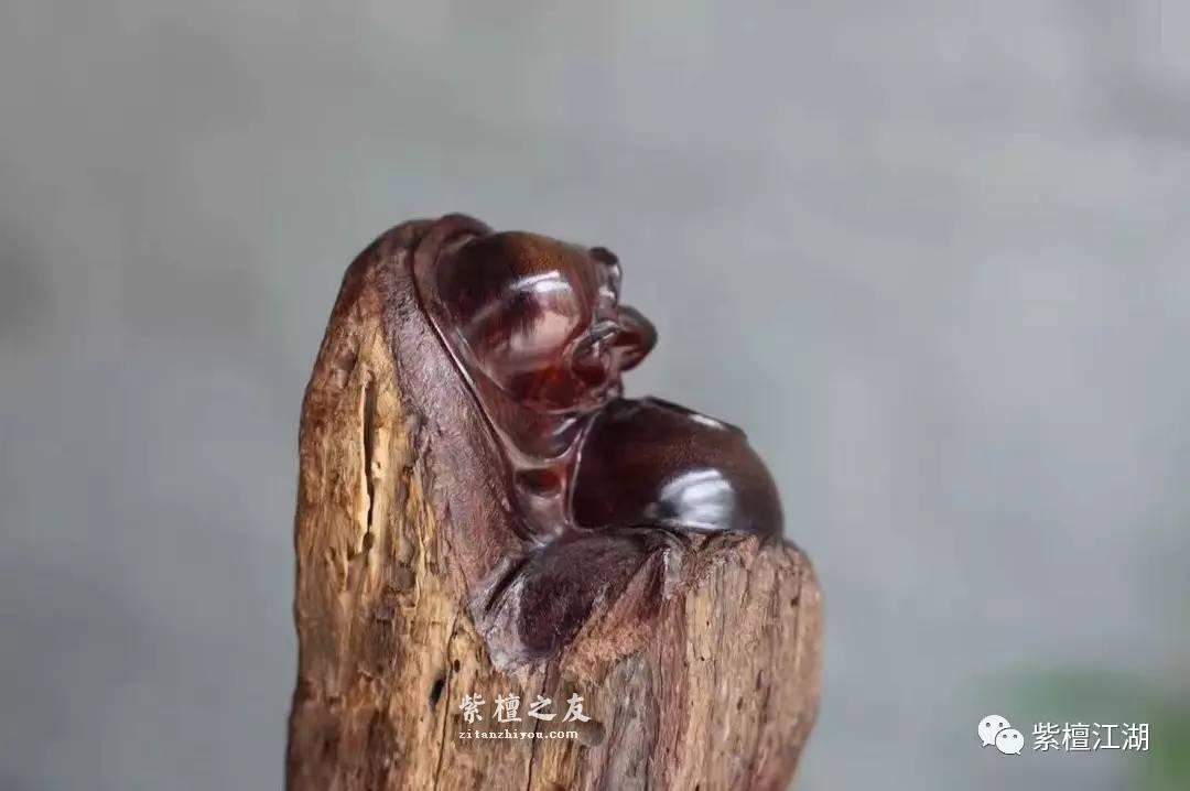 小叶紫檀风化料罗汉小摆件 小巧可爱-8