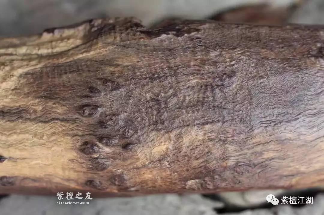 极品小叶紫檀水波S纹原料打造的精品摆件《卧佛》-9