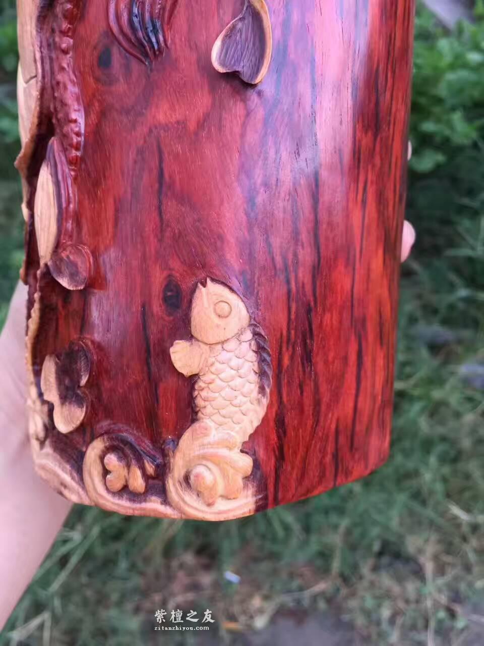 小叶紫檀笔筒《连年有余》手工制作白皮巧雕独具特色-7