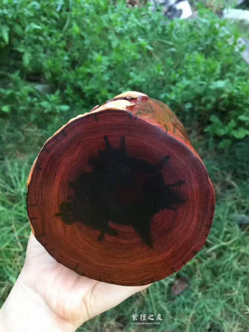 小叶紫檀笔筒《连年有余》手工制作白皮巧雕独具特色-9