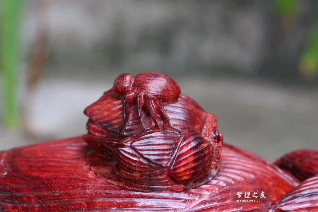 小叶紫檀茶壶《知足常乐》纯手工雕刻壶身壶盖同料取材寓意美好。-4