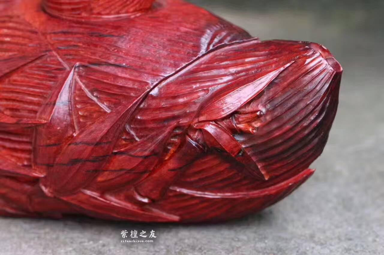 小叶紫檀茶壶《知足常乐》纯手工雕刻壶身壶盖同料取材寓意美好。-3