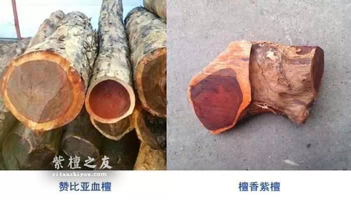 赞比亚血檀PK印度小叶紫檀 了解这些少上当-1