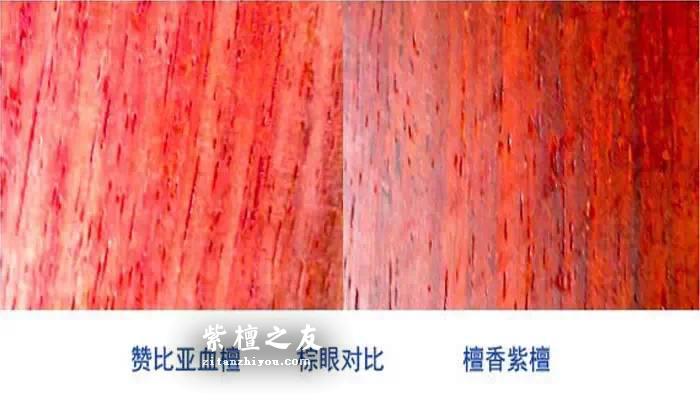 赞比亚血檀PK印度小叶紫檀 了解这些少上当-4