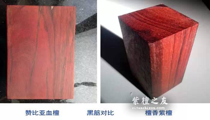 赞比亚血檀PK印度小叶紫檀 了解这些少上当-5