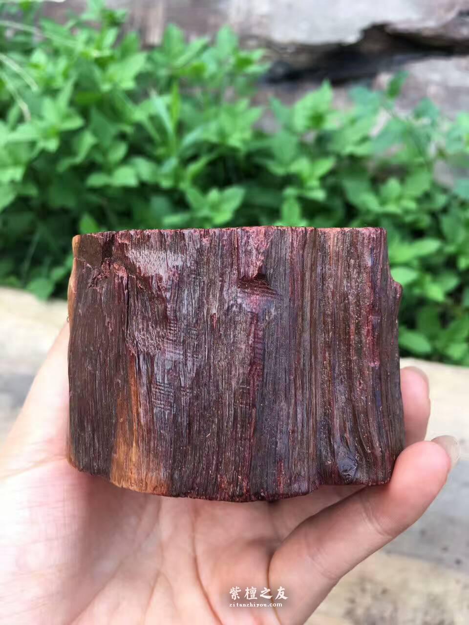 小叶紫檀摆件《牛气爆棚》造型原始雕工精美-6
