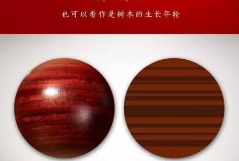 关于小叶紫檀的生长纹 你了解多少