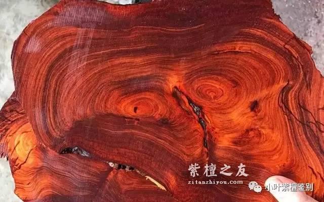 关于小叶紫檀的生长纹 你了解多少-3