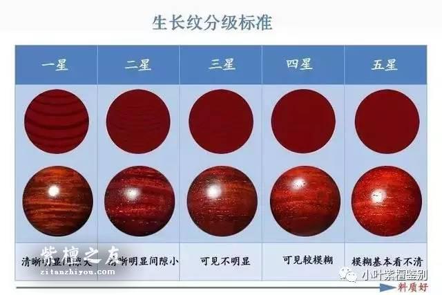 关于小叶紫檀的生长纹 你了解多少-2