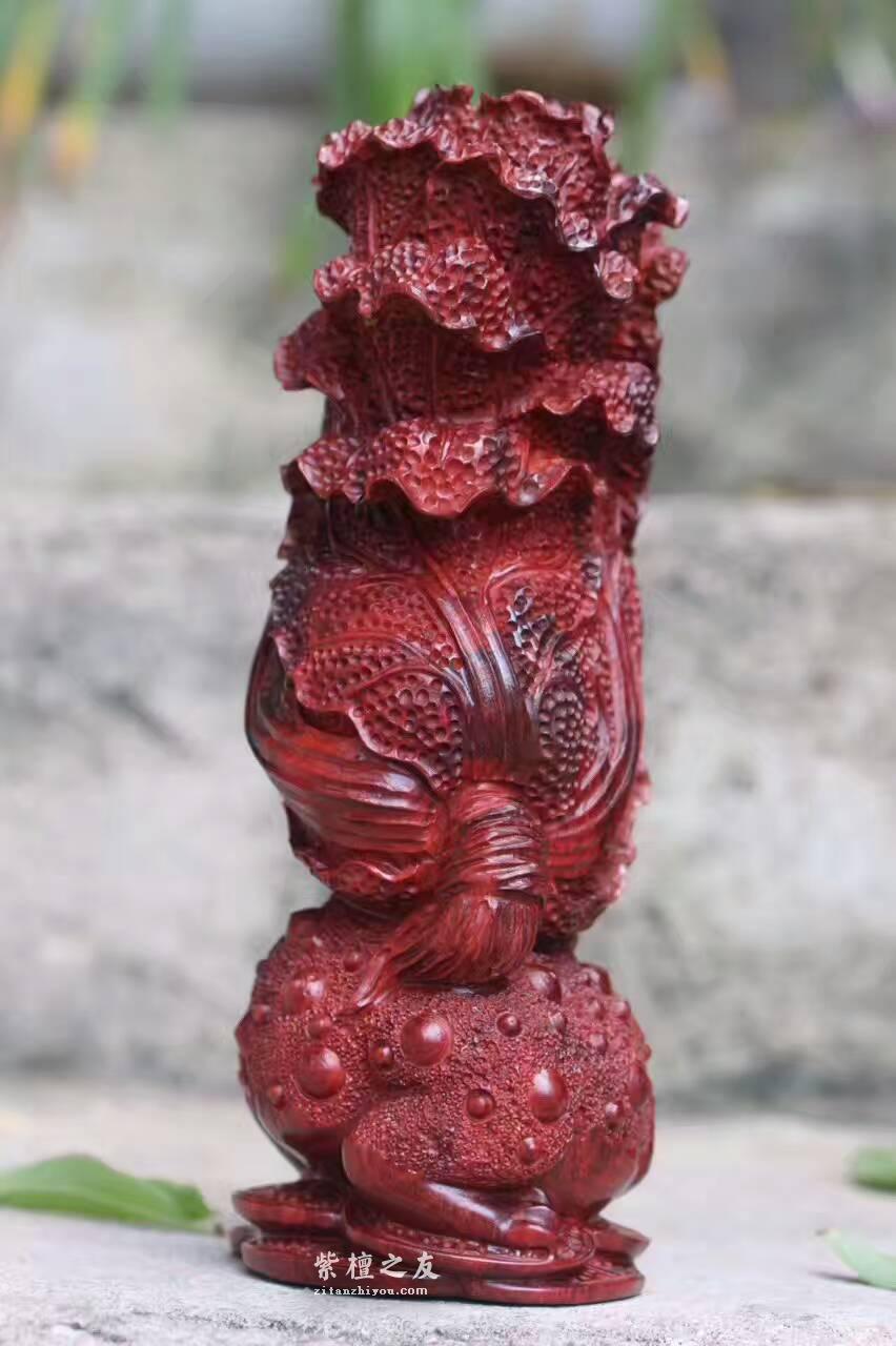 小叶紫檀工艺品《金蟾白菜》雕工精致财源滚滚-1