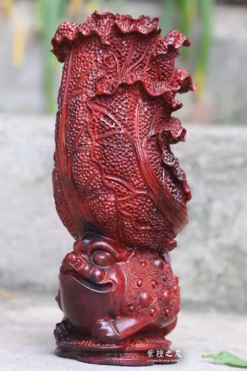 小叶紫檀工艺品《金蟾白菜》雕工精致财源滚滚-2
