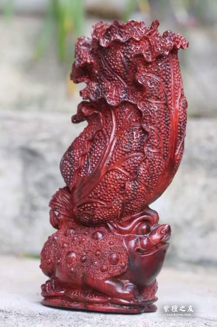 小叶紫檀工艺品《金蟾白菜》雕工精致财源滚滚-6